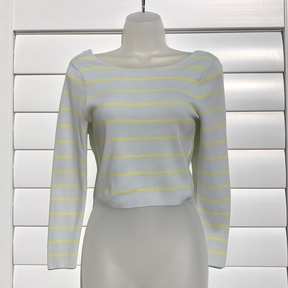 Zara Tops - Zara striped long sleeve midi crop top